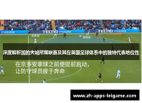 深度解析加的夫城所属联赛及其在英国足球体系中的独特代表地位性