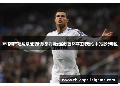 萨格勒布迪纳摩足球俱乐部受喜爱的原因及其在球迷心中的独特地位