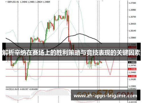 解析辛纳在赛场上的胜利策略与竞技表现的关键因素