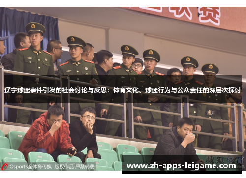 辽宁球迷事件引发的社会讨论与反思：体育文化、球迷行为与公众责任的深层次探讨