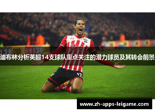 迪布林分析英超14支球队重点关注的潜力球员及其转会前景