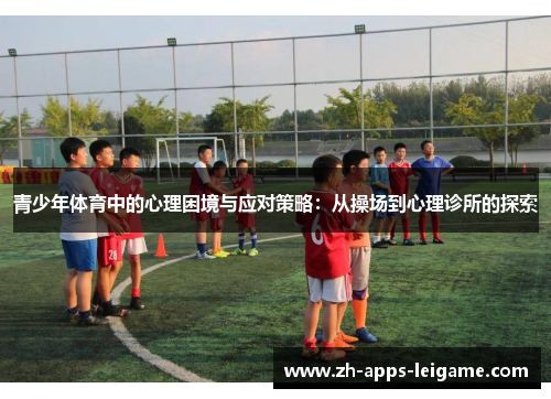 青少年体育中的心理困境与应对策略：从操场到心理诊所的探索