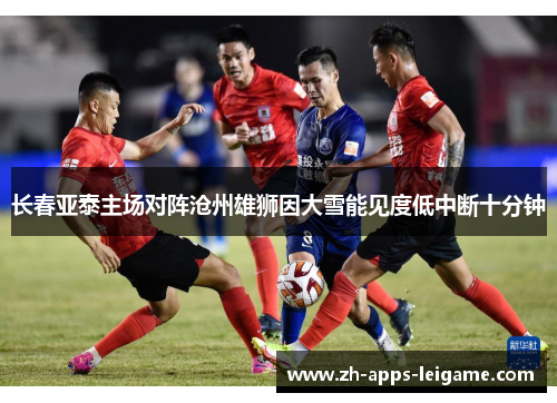 长春亚泰主场对阵沧州雄狮因大雪能见度低中断十分钟