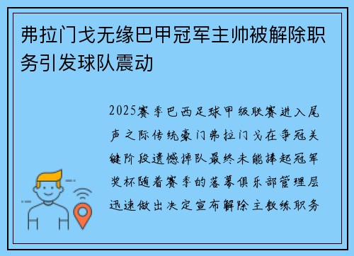 弗拉门戈无缘巴甲冠军主帅被解除职务引发球队震动